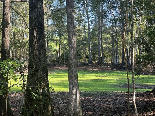 Parcel E Millside Rd, Laurel Hill, FL, 32567 | Card Image