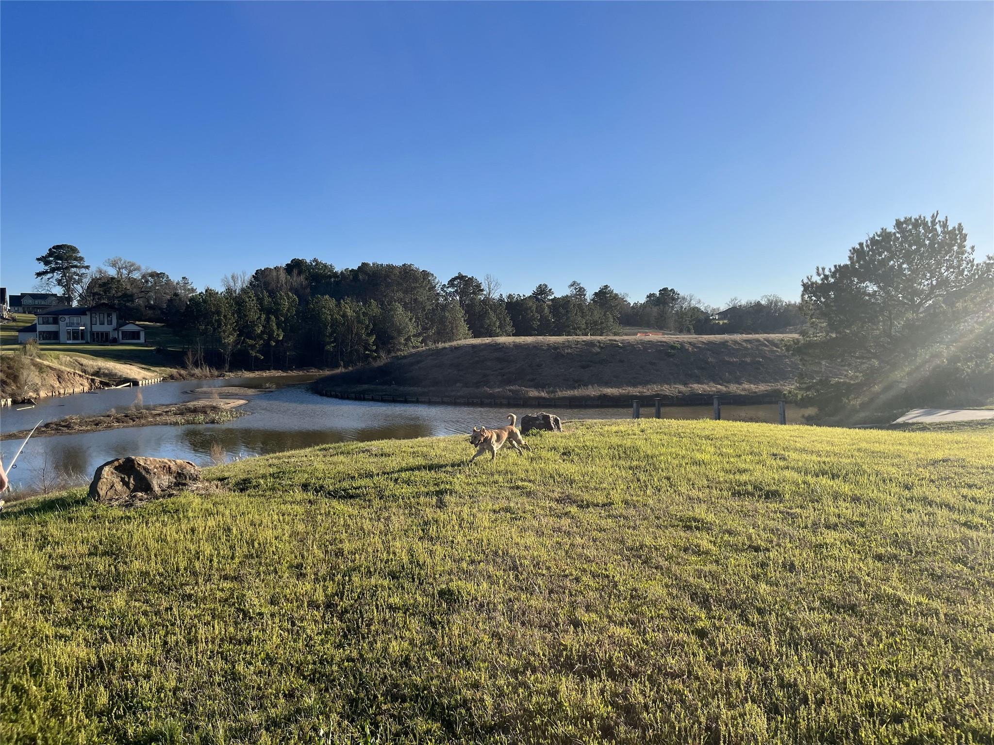 Land in Montgomery