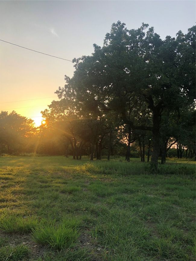1900 Coleman Ranch Rd, House other with 3 bedrooms, 2 bathrooms and null parking in Tolar TX | Image 5