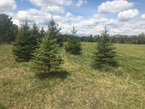 Parcel 5 Dryden Road, Dryden Township, MI, 48428 | Card Image