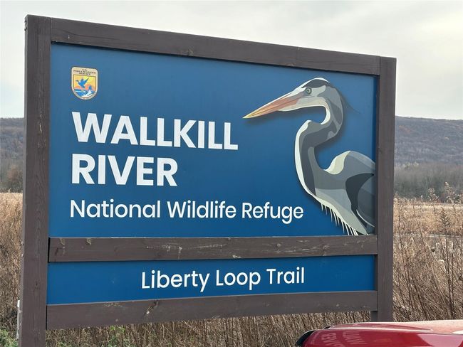 National Wildlife Refuge/Bird Watching down the road! | Image 26