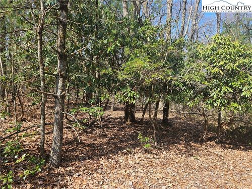TBD Mount Retreat Rd, Roaring Gap, NC, 28668 | Card Image