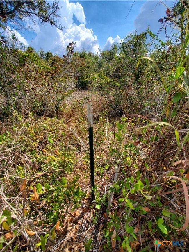 Survey marker | Image 17