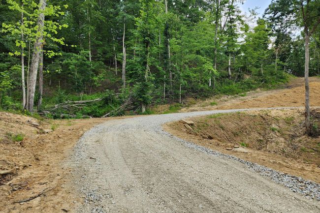 TRACT-3 - 0 Back Run Rd, Home with 0 bedrooms, 0 bathrooms and null parking in Philo OH | Image 48