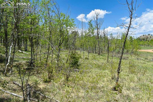130 Eleven Mile State Park, Home with 0 bedrooms, 0 bathrooms and null parking in Lake George CO | Image 6