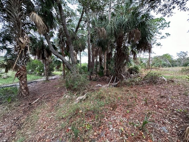 5 Lots Ingleside Pl, Home with 0 bedrooms, 0 bathrooms and null parking in Cedar Key FL | Image 4