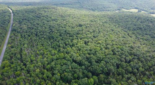 11 Acres Cathedral Caverns Hwy, Woodville, AL, 35776 | Card Image