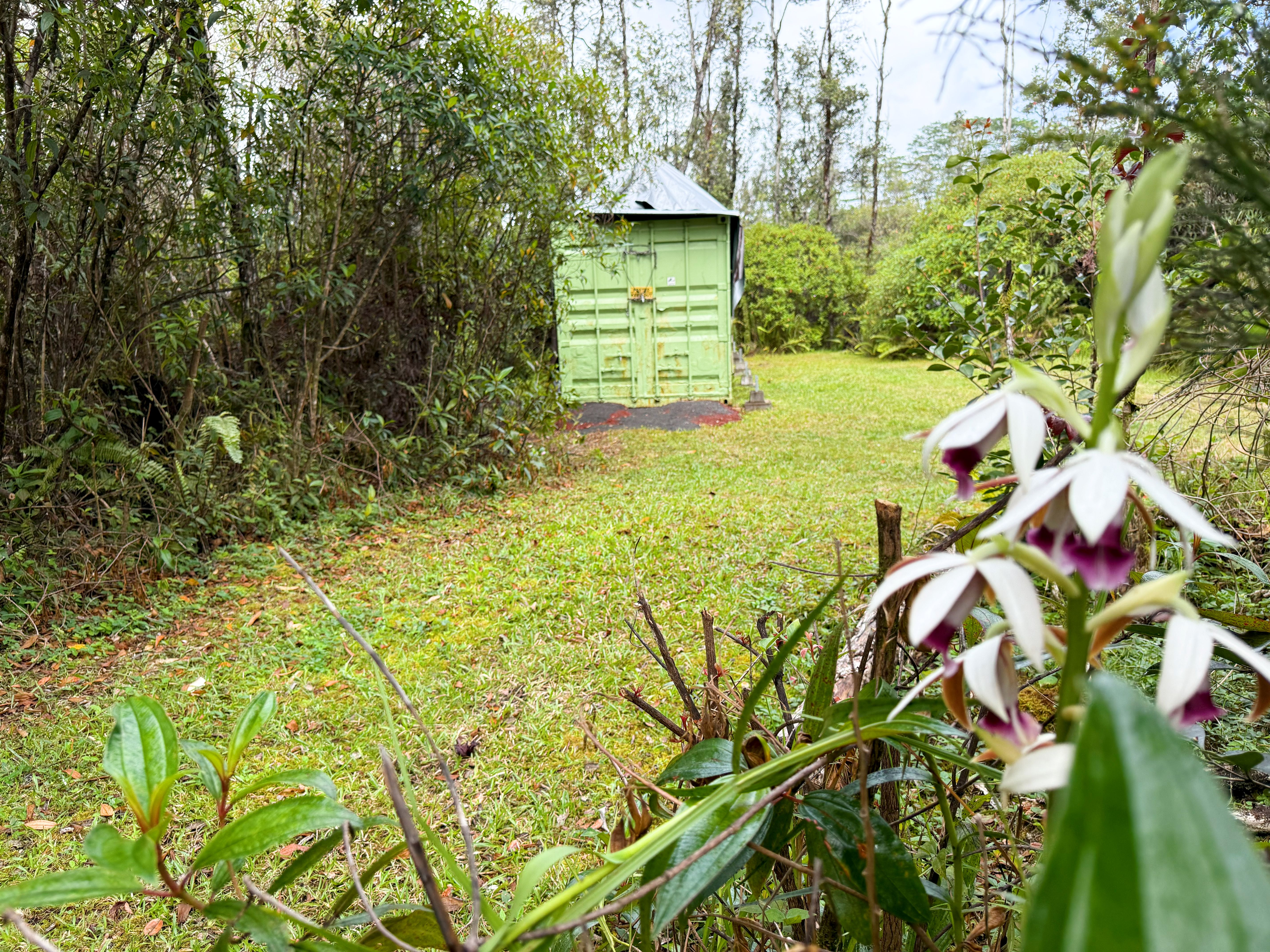 Land in Kurtistown 3