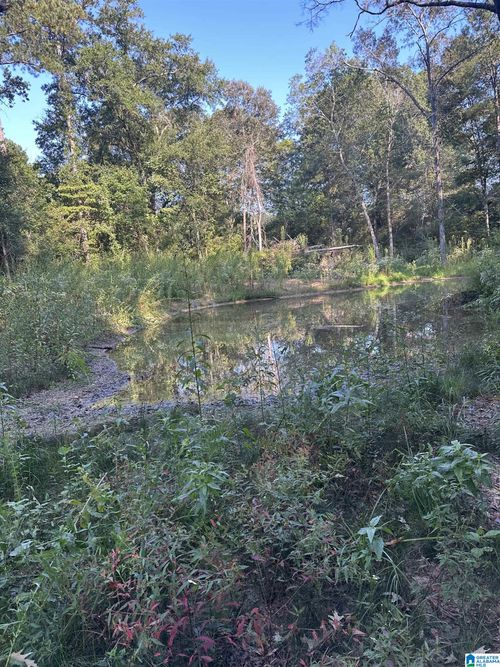 x-135 Maddox Rd, Piedmont, AL, 36272 | Card Image