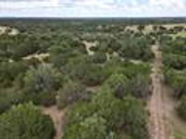 Drone / aerial view | Image 7