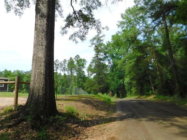 1305 Boyd Rd, Home with 3 bedrooms, 2 bathrooms and 2 parking in Bronson TX | Image 30