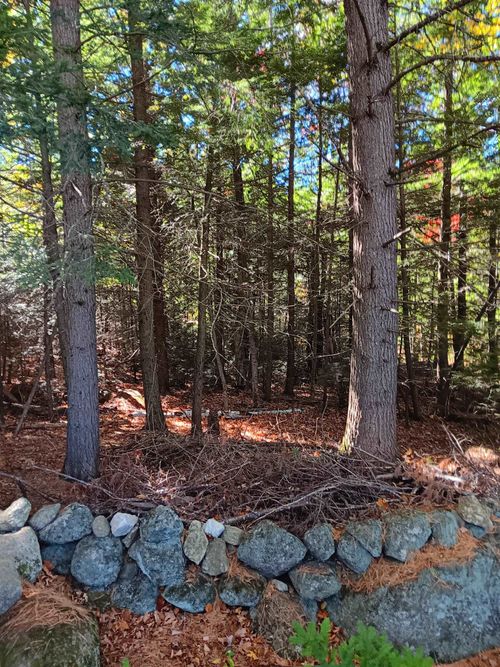 20-46 Dole School House Rd, Washington, NH, 03280-6103 | Card Image