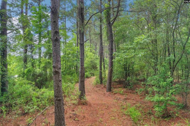 0000 N Brewington Rd, Home with 0 bedrooms, 0 bathrooms and null parking in Manning SC | Image 26