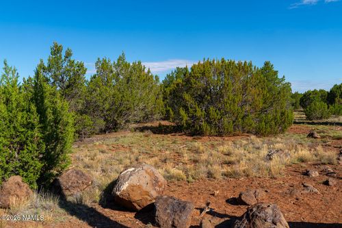 1173 E Tamarack St, Williams, AZ, 86046-8602 | Card Image
