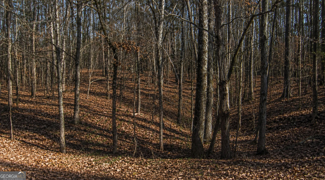 Land in Greensboro 4