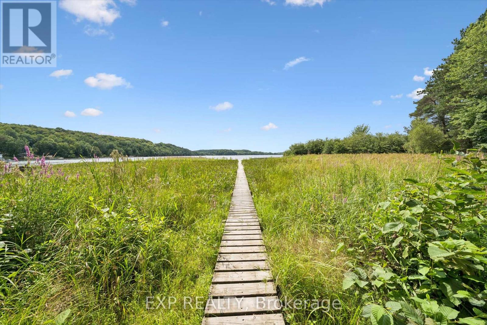 Residential in Muskoka Lakes (Watt) 3