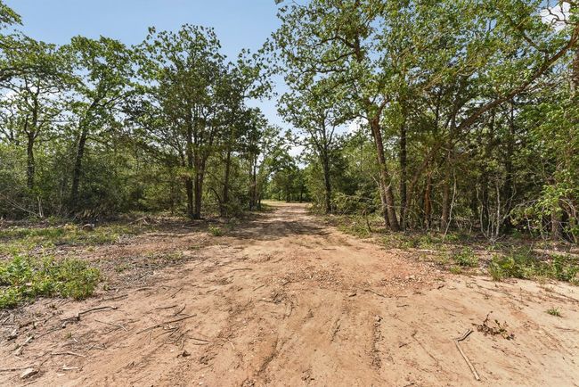 View of road | Image 22