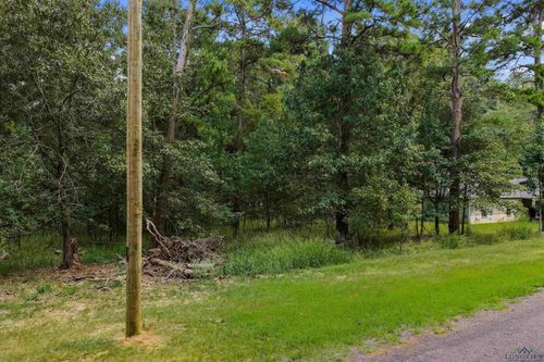 TBD Lock Mountain Rd, Avinger, TX, 75630 | Card Image