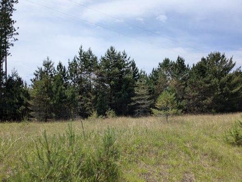 VL Curtis Road, Plainfield Township, MI, 48739 | Card Image