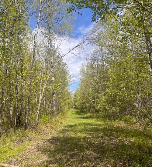 80 acres Clausen Rd, Prentice, WI, 54556 | Card Image