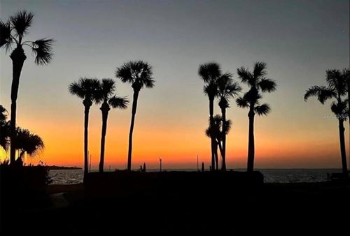 apt-t18-7520 Sunshine Skyway Ln S, ST PETERSBURG, FL, 33711-4960 | Card Image