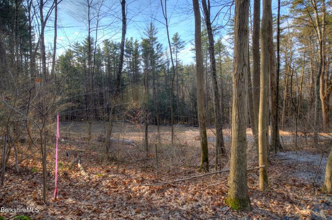 13 Rattlesnake Mtn Rd, Home with 0 bedrooms, 0 bathrooms and null parking in Stockbridge MA | Image 20