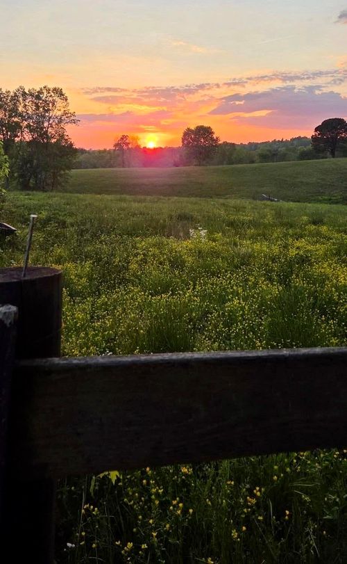 2800 W Highway 204, Williamsburg, KY, 40769-9290 | Card Image