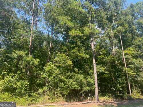 203 Pebble Cove Rd, Abbeville, AL, 36310-5728 | Card Image