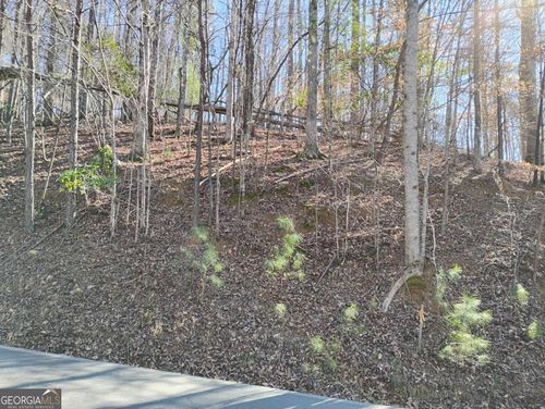 2090r-LT 2090R Newport Dr, Ellijay, GA, 30540 | Card Image