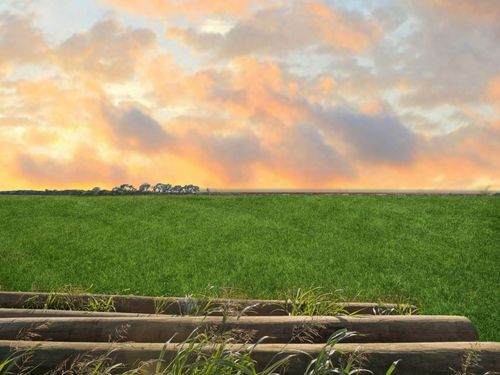 LOT 2 Ponderosa Rd, Howe, TX, 75459 | Card Image