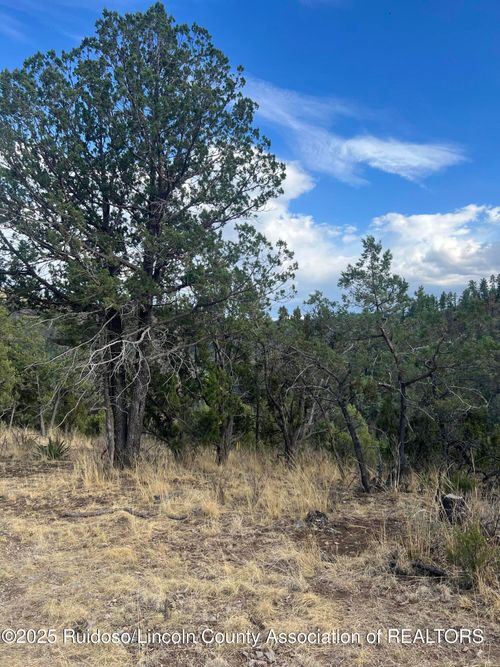 400 Warwick Dr, Ruidoso, NM, 88345 | Card Image