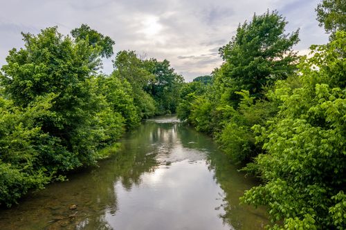 0 Ostella Rd, Cornersville, TN, 37047 | Card Image