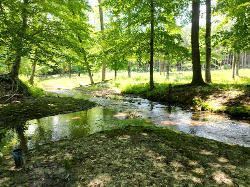 422 Golden View Ln, Hampshire, TN, 38461-1506 | Card Image