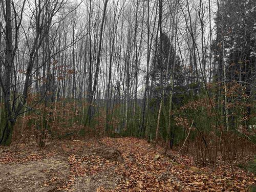 196 Old Pound Rd, Effingham, NH, 03882-8513 | Card Image