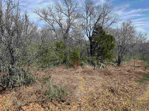 Lot 283-289 Aspermont St, Kingsland, TX, 78639 | Card Image