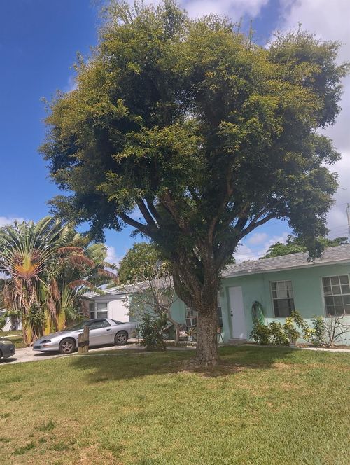 1517 Ne 30th St, Pompano Beach, FL, 33064-6836 | Card Image