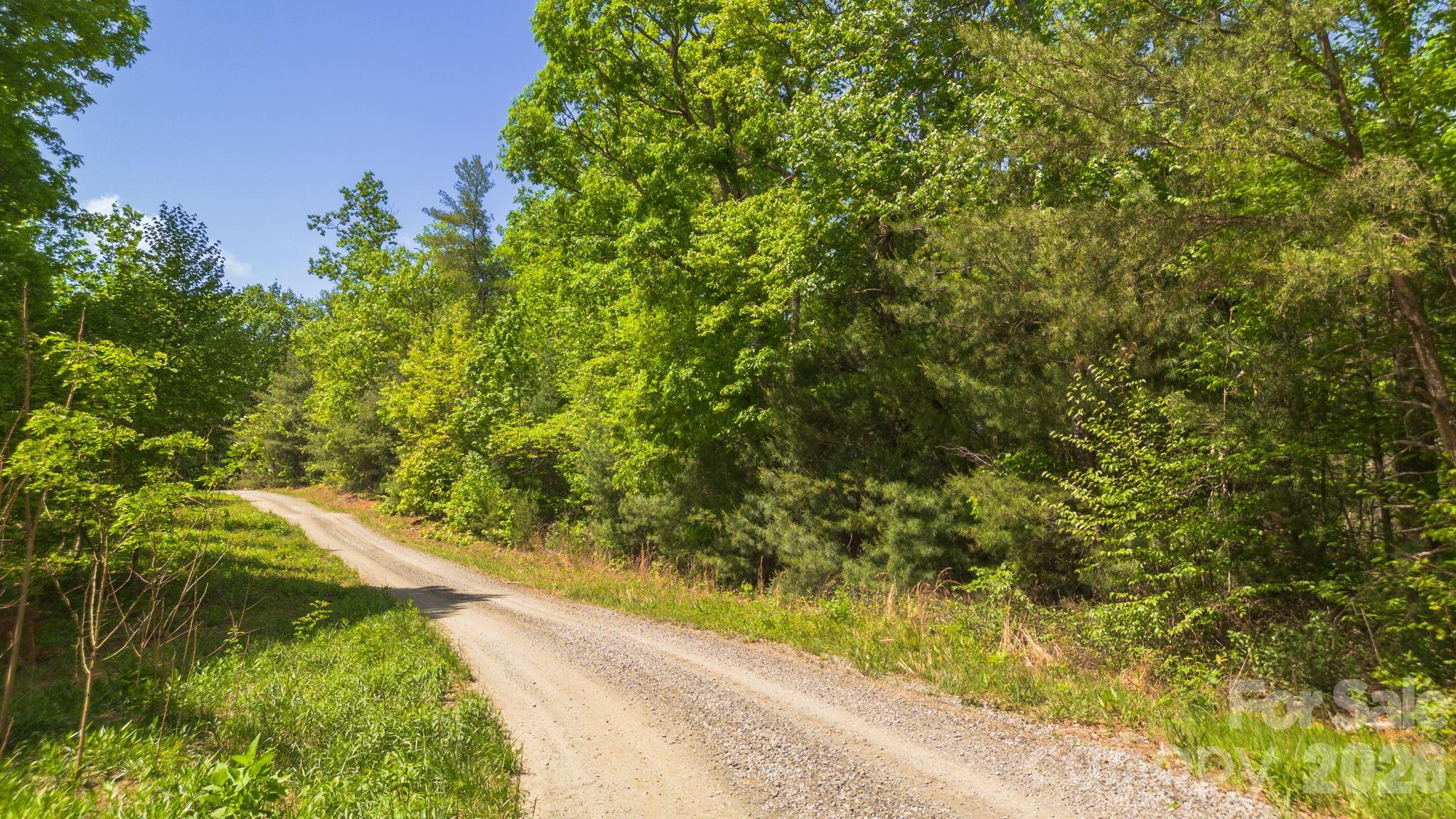Land in Morganton 5