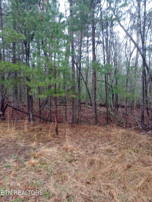 23 Lechmere Court, Crossville, TN, 38558 | Card Image