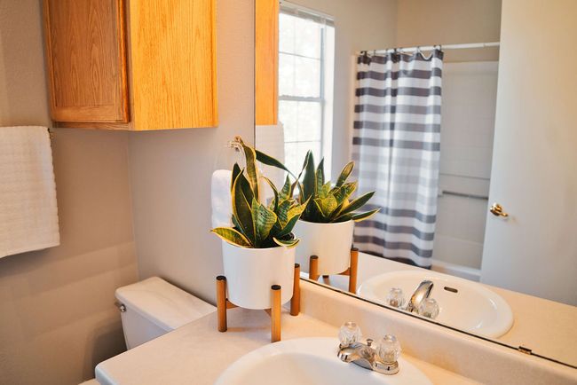 Full bathroom with toilet and vanity | Image 26