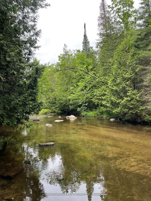 79 Gummow Rd, Warkworth, ON, K0K3K0 | Card Image