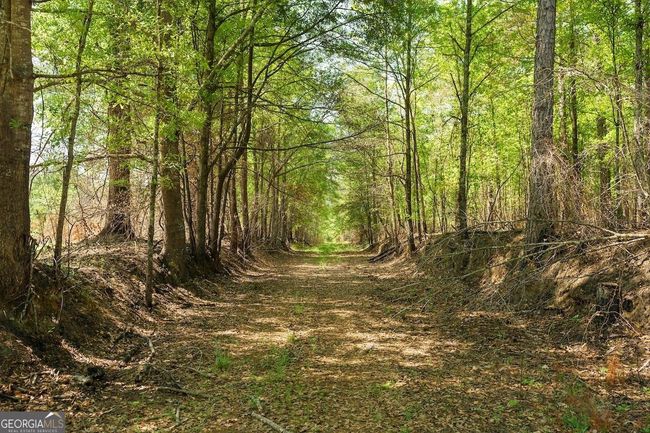 6053 Sun Hill Grange Rd, Home with 0 bedrooms, 0 bathrooms and null parking in Davisboro GA | Image 88