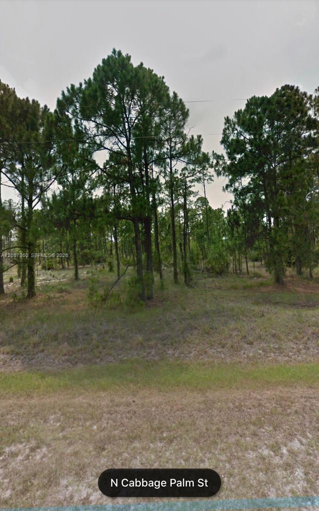 Land in Clewiston 2