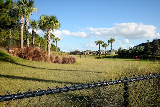 Esplanade Dog Park | Image 65