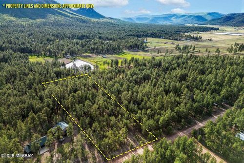 15 County Road 2083, Alpine, AZ, 85920 | Card Image