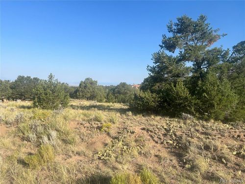 4292 Fallen Tree Overlook, Crestone, CO, 81131 | Card Image