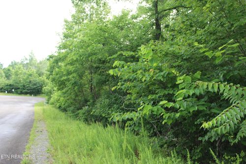 0 Graphite Ct, New Tazewell, TN, 37825 | Card Image