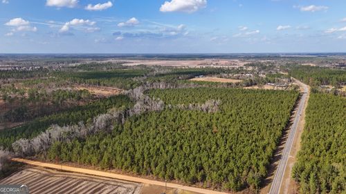 0 Herrington Rd, Baxley, GA, 31513 | Card Image