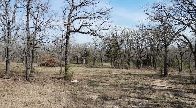 View of landscape featuring a wooded view | Image 7
