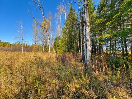 N4805 Hwy 111, Catawba, WI, 54515 | Card Image
