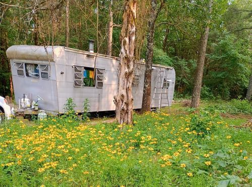 313 Bobbitts Ln, Clinton, AR, 72031-9011 | Card Image